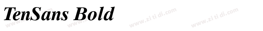 TenSans Bold字体转换